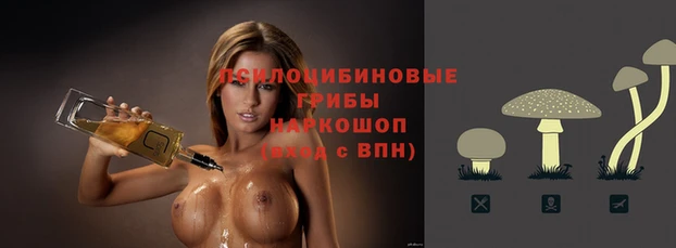 MDMA Premium VHQ Михайловка