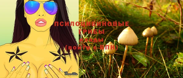 MDMA Premium VHQ Михайловка